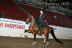 07Buckeye_0035 proof