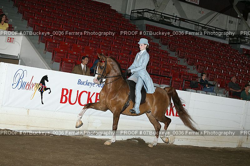 Proof 07Buckeye_0036
