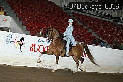 07Buckeye_0036 proof
