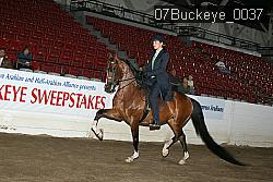 07Buckeye_0037 proof
