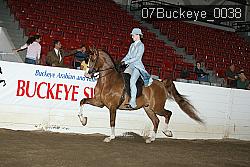 07Buckeye_0038 proof