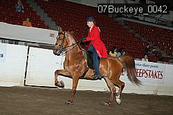 07Buckeye_0042 proof