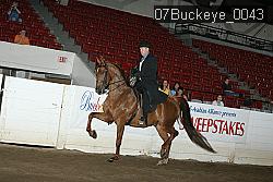 07Buckeye_0043 proof