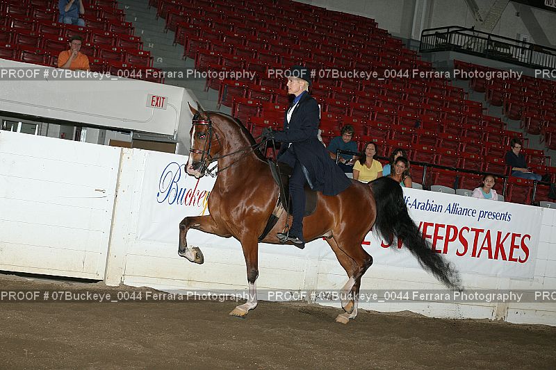 Proof 07Buckeye_0044