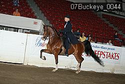 07Buckeye_0044 proof