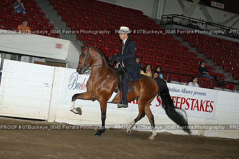 Proof 07Buckeye_0045