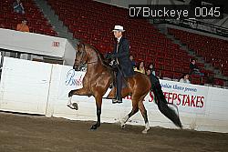 07Buckeye_0045 proof