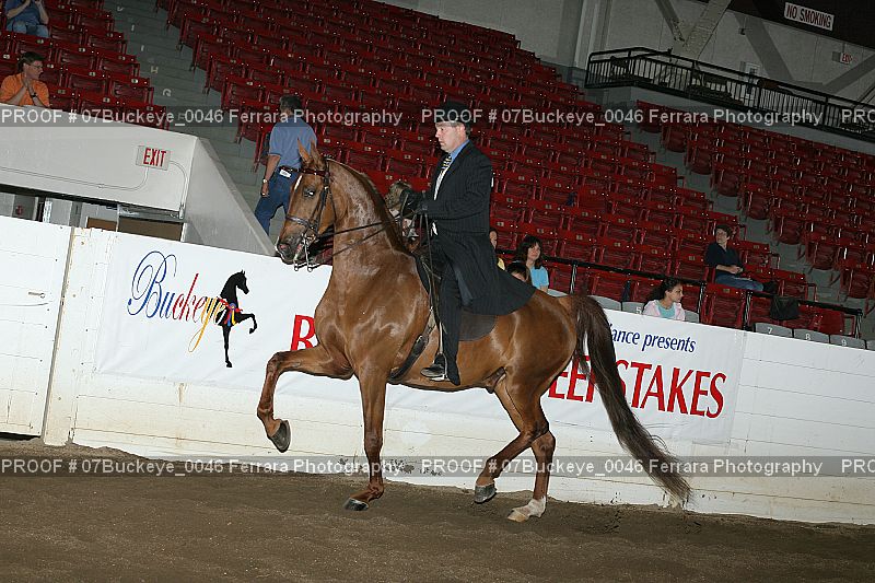 Proof 07Buckeye_0046