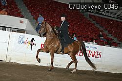 07Buckeye_0046 proof