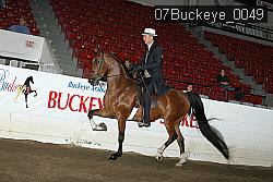 07Buckeye_0049 proof
