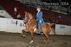07Buckeye_0054 proof
