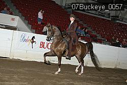 07Buckeye_0057 proof