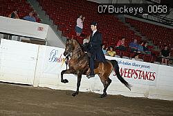 07Buckeye_0058 proof