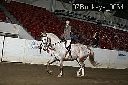 07Buckeye_0064 proof