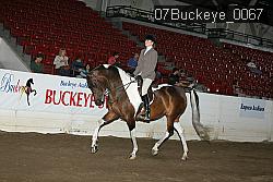 07Buckeye_0067 proof