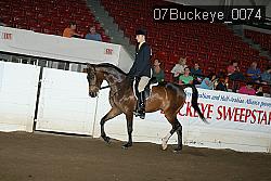 07Buckeye_0074 proof