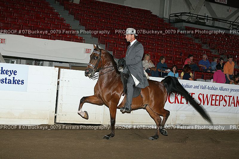 Proof 07Buckeye_0079