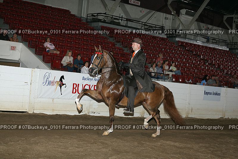 Proof 07Buckeye_0101