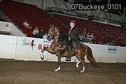 07Buckeye_0101 proof