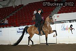 07Buckeye_0102 proof