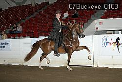07Buckeye_0103 proof