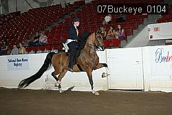 07Buckeye_0104 proof