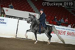 07Buckeye_0119 proof