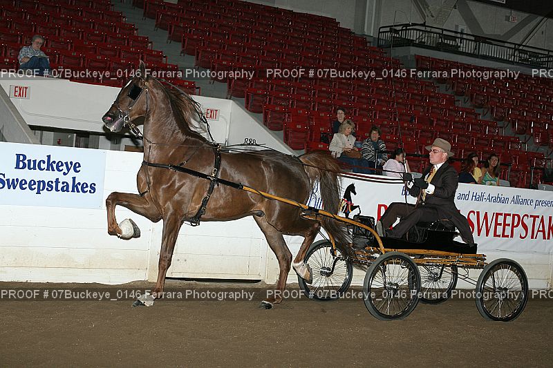 Proof 07Buckeye_0146