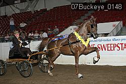 07Buckeye_0148 proof