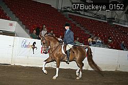 07Buckeye_0152 proof