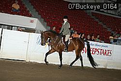 07Buckeye_0164 proof