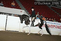07Buckeye_0165 proof