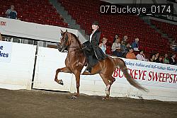 07Buckeye_0174 proof