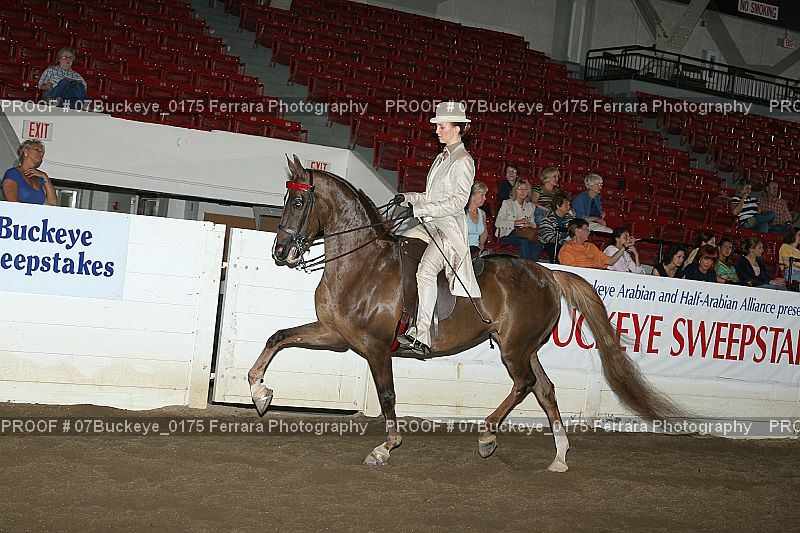 Proof 07Buckeye_0175