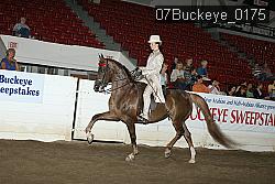 07Buckeye_0175 proof