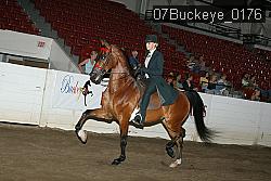 07Buckeye_0176 proof