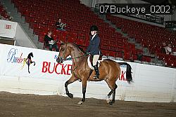 07Buckeye_0202 proof