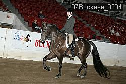 07Buckeye_0204 proof