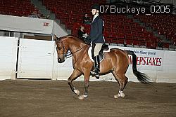 07Buckeye_0205 proof