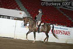 07Buckeye_0207 proof