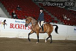 07Buckeye_0208 proof