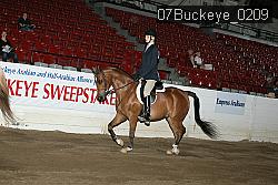 07Buckeye_0209 proof