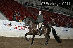 07Buckeye_0211 proof