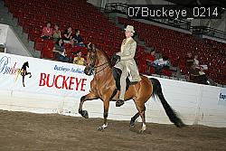 07Buckeye_0214 proof