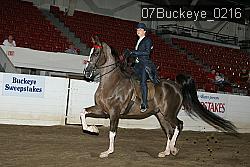 07Buckeye_0216 proof