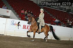 07Buckeye_0219 proof