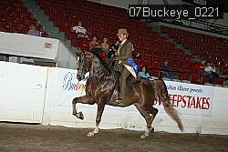 07Buckeye_0221 proof