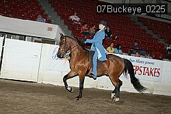 07Buckeye_0225 proof
