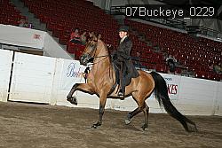 07Buckeye_0229 proof