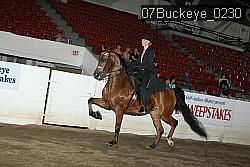 07Buckeye_0230 proof